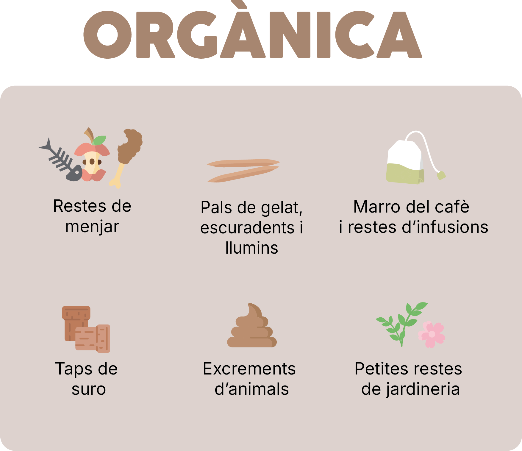 Recurso 6